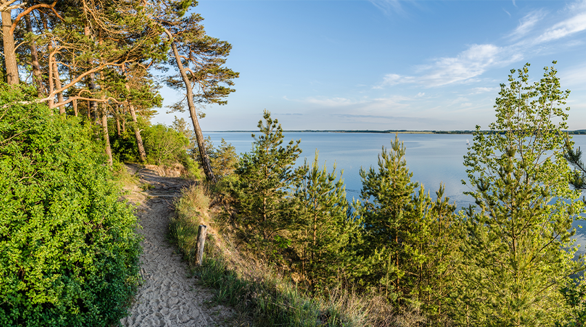 An einem steilen Küstenufer der Halbinsel Gnitz auf Usedom führt ein Sandweg entlang. © Adobe Stock, riebevonsehl