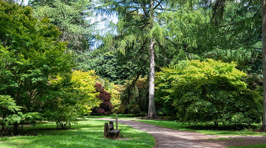 Ein schöner Rundgang durch einen grünen Garten mit einer Sitzbank. © Adobe Stock, tom