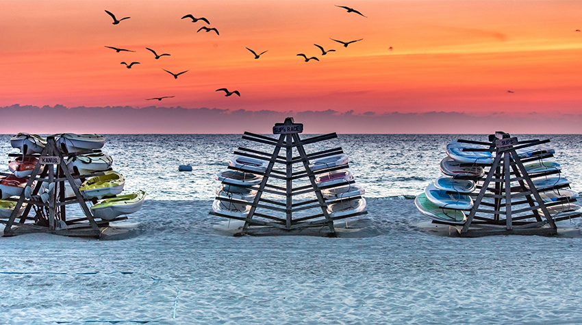 Mehrere Möwen fliegen über einen Stand mit Surfbrettern in Zinnowitz auf Usedom am Abend. © Adobe Stock, haiderose