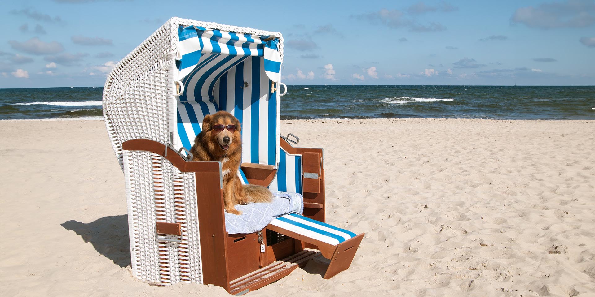 Sand, Strandkorb, Ostsee – So sieht Urlaubsglück auf Usedom aus